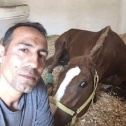  Mimarsinan,  Senatore, 40