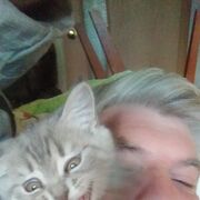  ,   , 54 ,   ,   