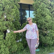 ���������� ������, ���� ������� �������, 66 ���, ������������ ��� c�������� ���������