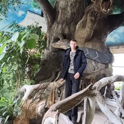 ���������� �����������, ���� ������� ������, 36 ���, ������������ ��� ������, ����� � ���������, c�������� ���������