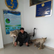   ,   , 44 ,   ,   , c 