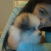 ���������� ������, ���� ������� ������, 29 ���, ������������ ��� ������, ����� � ���������, c�������� ���������