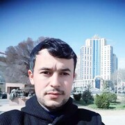 ���������� ���������, ���� ������� Alim, 33 ����, ������������ ��� ������, ����� � ���������