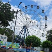 ���������� ���������, ���� ������� �������, 34 ����, ������������ ��� ������, ����� � ���������, c�������� ���������