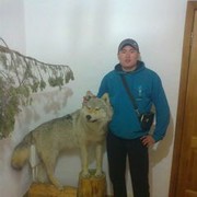 ���������� ���������, ���� ������� ����, 41 ���, ������������ 