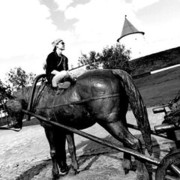 ���������� ������, ���� ������� ���� �����, 34 ����, ������������ ��� ������