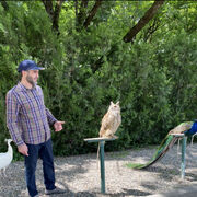 ���������� ���������, ���� ������� ����, 35 ���, ������������ ��� ������, ����� � ���������