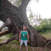  ,   , 55 ,   c , 
