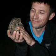 ���������� �������, ���� ������� �������, 36 ���, ������������ ��� ������, ����� � ���������, c�������� ���������