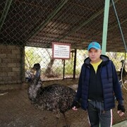 ���������� ���������, ���� ������� ������, 43 ����, ������������ ��� ������, ����� � ���������