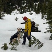  Belton,   Boris, 50 ,   ,   