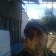  ,   , 66 ,   c , 