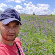 ���������� ������, ���� ������� ����, 38 ���, ������������ ��� ������, ����� � ���������