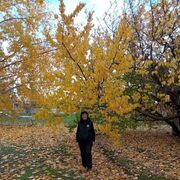 ���������� �������, ���� ������� �����, 62 ����, ������������ ��� c�������� ���������