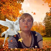 ���������� ����, ���� ������� ������, 46 ���, ������������ ��� ����� � ���������, c�������� ���������