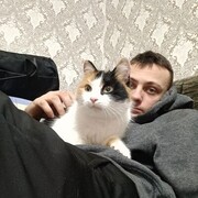 ���������� ���������, ���� ����� �������, 21 ���, ������������ ��� ������, ����� � ���������