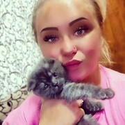 ,   , 28 ,   c 