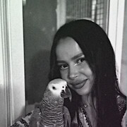 ���������� ������, ����