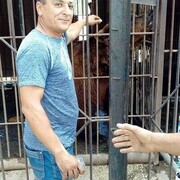  ,   , 42 ,   ,   
