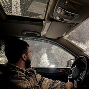 ���������� ����������, ���� ����� Elvin, 25 ���, ������������ ��� ������, ����� � ���������, c�������� ���������