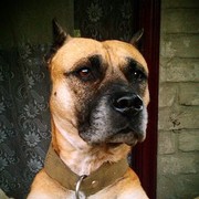 ���������� �������������, ���� ������� Sasha, 56 ���, ������������ ��� ������, ����� � ���������, c�������� ���������