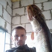   ,   , 44 ,   ,   , c , 