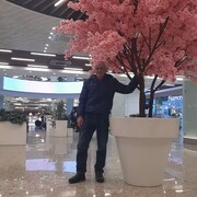  ,   , 61 ,   ,   