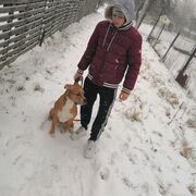  ,   , 29 ,     , c 