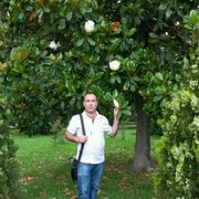 ���������� �����������, ���� ������� ������, 46 ���, ������������ ��� ����� � ���������, c�������� ���������