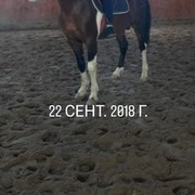  ,   , 32 ,     , c 