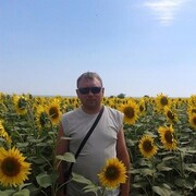 ���������� ������, ���� ������� ������, 44 ����, ������������ ��� ������, ����� � ���������, c�������� ���������