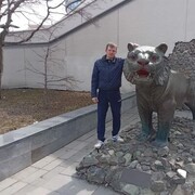 ���������� ����, ���� ������� ����, 43 ����, ������������ ��� ������, ����� � ���������