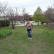  --,   , 38 ,   ,   , 