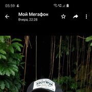  ,   , 58 ,   ,   