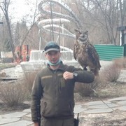  ,   , 44 ,   