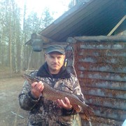 ���������� ���������, ���� ������� ������, 51 ���, ������������ ��� ������, ����� � ���������, c�������� ���������