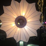 ���������� ����������, ���� ������� �������, 53 ����, ������������ ��� c�������� ���������