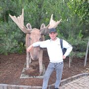 ���������� �������, ���� ������� �������, 32 ����, ������������ ��� ����� � ���������, c�������� ���������, ���������