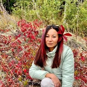 ���������� ���������, �����