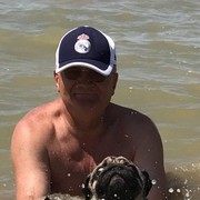 ���������� ����������, ���� ������� ����, 65 ���, ������������ ��� ������, ����� � ���������, c�������� ���������