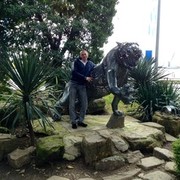 ���������� ����, ���� ������� Sergi, 41 ���, ������������ ��� ������, ����� � ���������, c�������� ���������