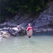 ���������� ����, ���� ������� �������, 38 ���, ������������ ��� ������