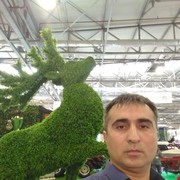 ���������� ����, ���� ������� RESHAD, 46 ���, ������������ ��� ����� � ���������, c�������� ���������