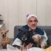  ,   Gio, 50 ,   ,   