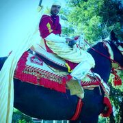 ���������� ���������, ���� ������� �����, 29 ���, ������������ ��� ������, ����� � ���������