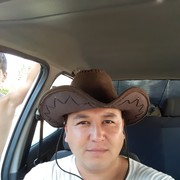 ���������� �������, ���� ������� Elmirod, 40 ���, ������������ ��� ������, ����� � ���������, c�������� ���������