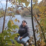 ���������� ����������, ���� ������� ����, 44 ����, ������������ ��� c�������� ���������