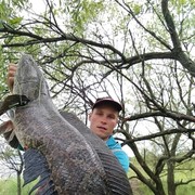 ���������� ������������, ���� ������� �������, 62 ����, ������������ ��� ������, ����� � ���������, c�������� ���������