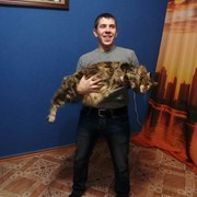 ���������� ����������, ���� ������� ����, 34 ����, ������������ ��� ������, ����� � ���������, c�������� ���������