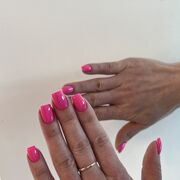 ���������� �����, ���� ������� �������, 26 ���, ������������ 